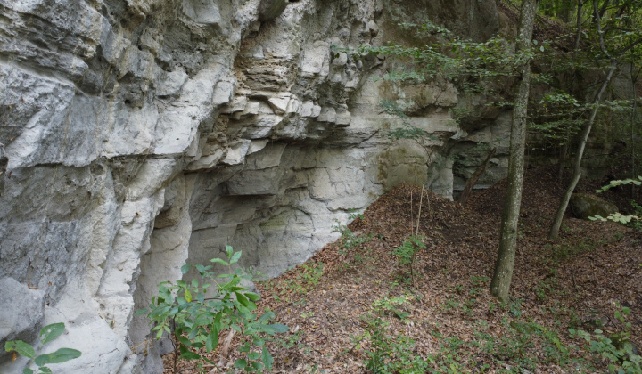 4. fotografia fotogalérie Okolie našej obce