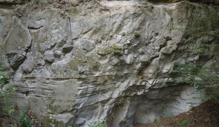 6. fotografia fotogalérie Okolie našej obce