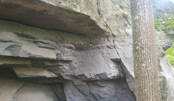 9. fotografia fotogalérie Okolie našej obce